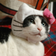 Image for article titled Japan's Hello Kitty Cat Humiliation System